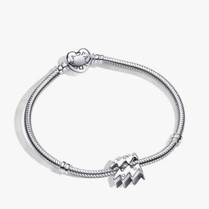 Aquarius Zodiac Charm Bracelet Set