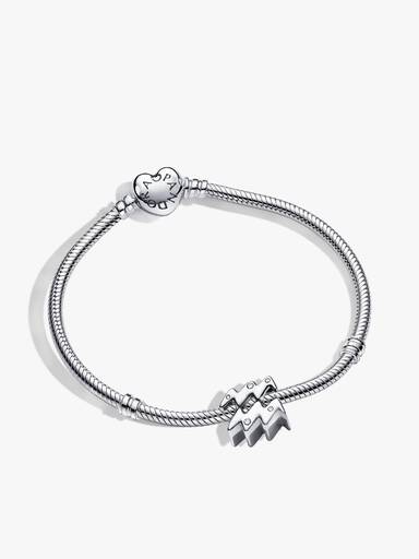 Aquarius Zodiac Charm Bracelet Set