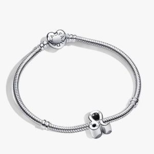 Leo Zodiac Charm Bracelet Set