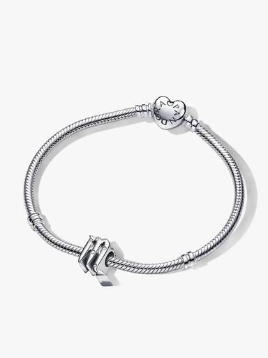 Scorpio Zodiac Charm Bracelet Set