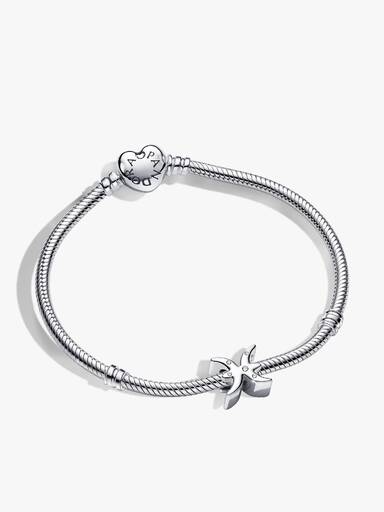 Pisces Zodiac Charm Bracelet Set