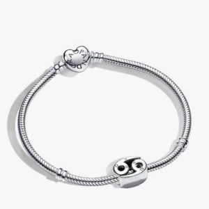 Cancer Zodiac Charm Bracelet Set
