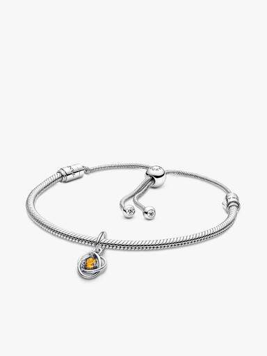 November Eternity Circle Dangle Charm Bracelet Set