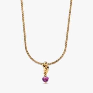 February Eternity Circle Dangle Charm Necklace Set