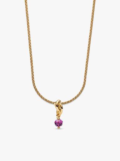 February Eternity Circle Dangle Charm Necklace Set