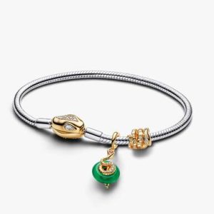 Lunar New Year Snake Clasp & Chain Charm Bracelet Set