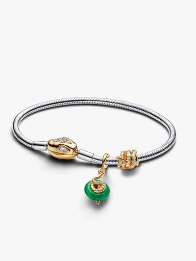 Lunar New Year Snake Clasp & Chain Charm Bracelet Set