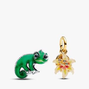 Disney Tangled Charm Duo