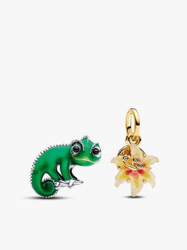 Disney Tangled Charm Duo