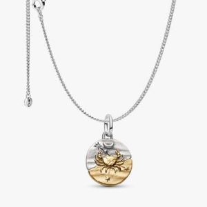 Cancer Medallion Charm Necklace Set