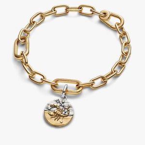 Scorpio Medallion Charm Bracelet Set