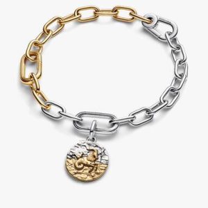 Capricorn Medallion Charm Bracelet Set