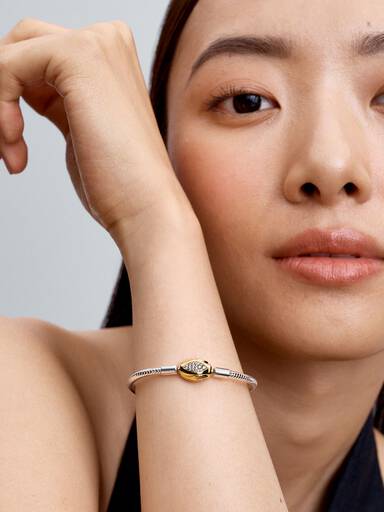 Snake Clasp & Chain Bracelet - Image 3