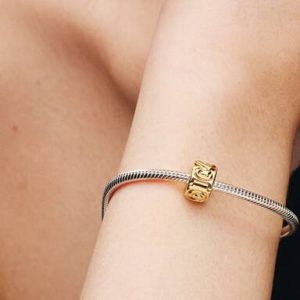 Knotted Hearts Clip Charm