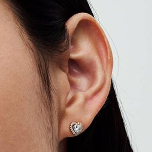 Sparkling Elevated Heart Stud Earrings